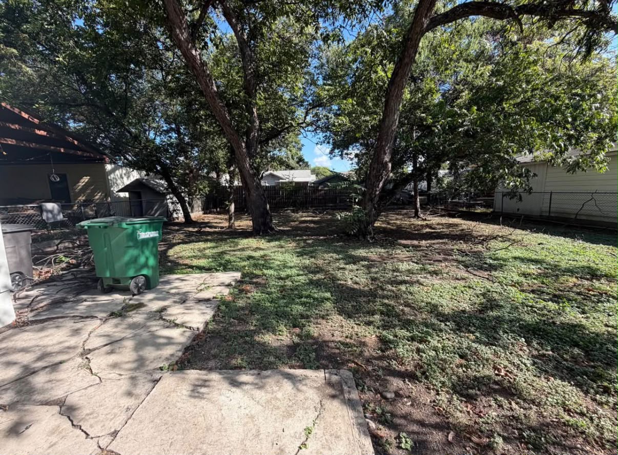 Yard and trees