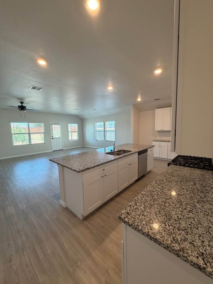 Open kitchen and living area