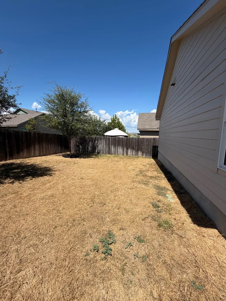 Backyard